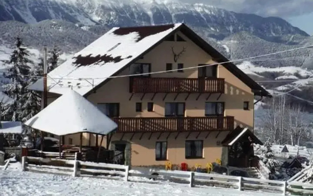 Edera