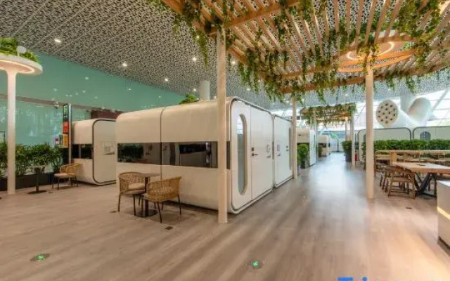 Yun Xiaoxi Sleeping Capsule