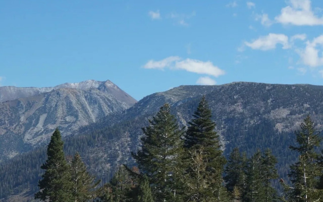 Remodeled 2 Bedroom Condo with Easy Access to Mountain Biking, Swimming, Hiking, Hot Tubs! by RedAwning