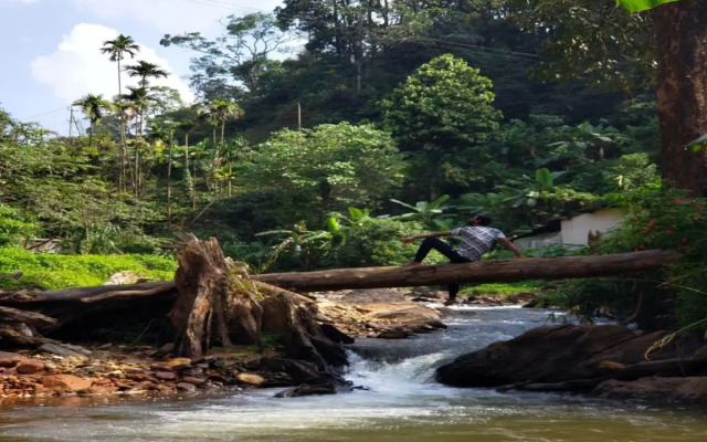 STAYMAKER Qexperiences Coorg