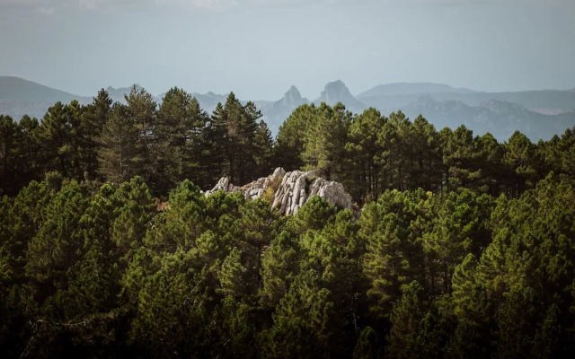 Vallicciola Monte Limbara Nature Hotel