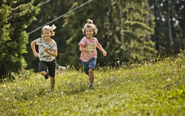 AlpenParks Chalet & Apartment Steve Lodge Viehhofen