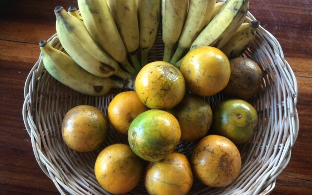 Diamond Homestay Nan