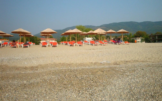 Pension Delfini