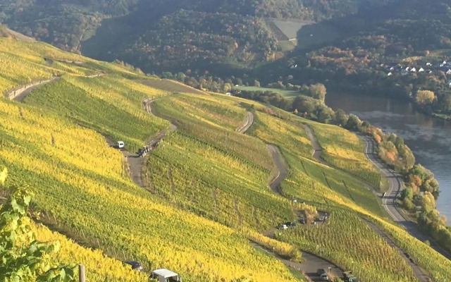 SYBILLE KUNTZ Weingut Gästehaus