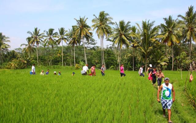 BeingSattvaa Luxury Ubud