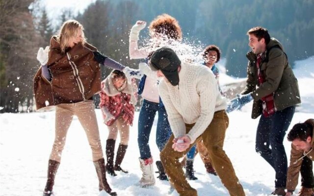 A Sleepy Bear's Hideaway