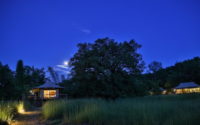 The Untamed Bandhavgarh by TUTC