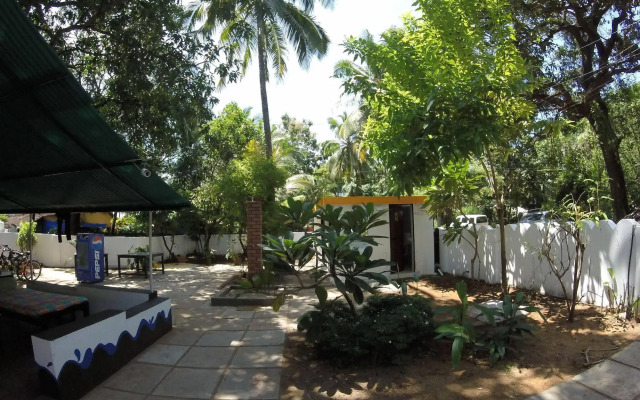 Backpacker Panda Goa
