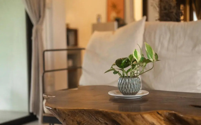 Big Tree Boutique Hotel