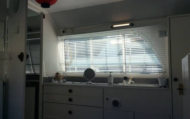 Penichette Oiseau Bleu