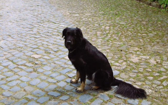 Apartment in Dorfmark Near Luneburg Heath