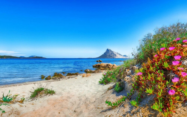 I Fari 31 600m From The Beach