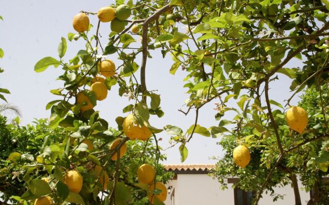Agriturismo Terra dei Limoni