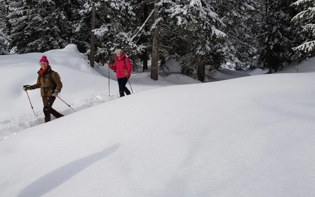 Pension Chalet Berkana