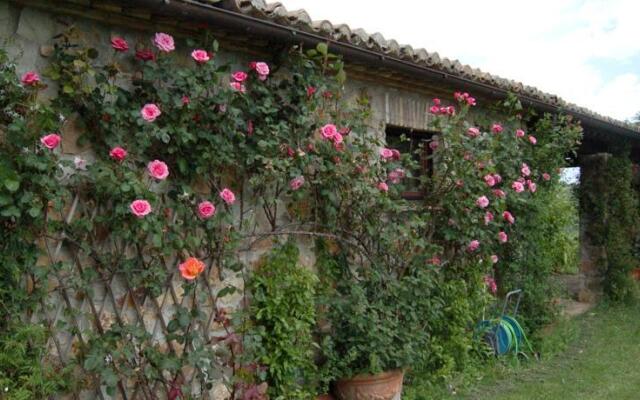 Purple Home Rose Countryhouse