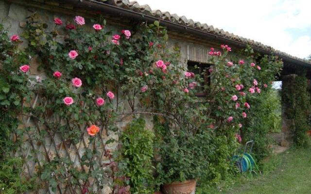 Purple Home Rose CountryHouse