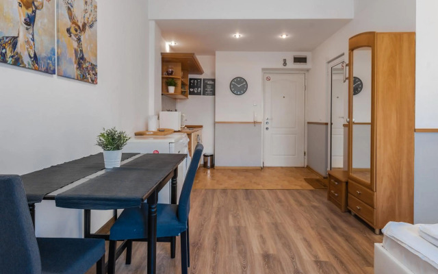 Charming Studio on Vitosha Street