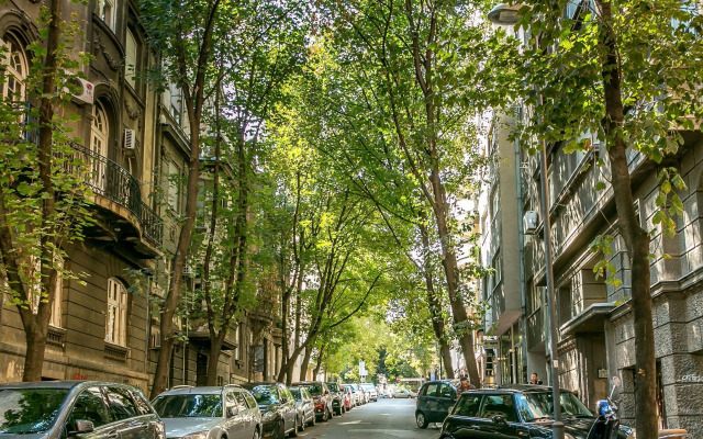 Apartment Dositejeva