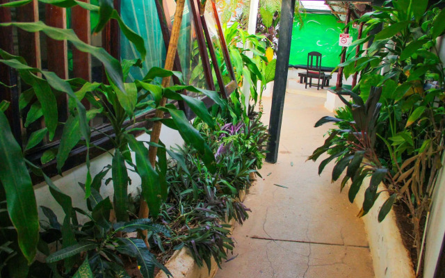 Pura Vida Hostel