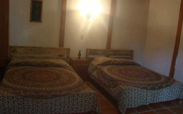 La Gamba Rainforest Lodge