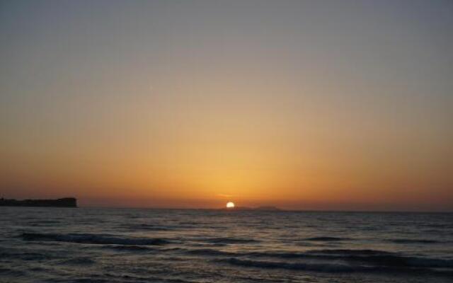 Sun Rose Studios