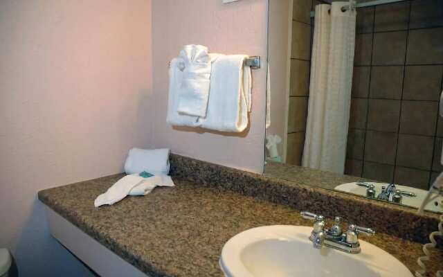 Holiday Inn Hotel & Suites Midland West