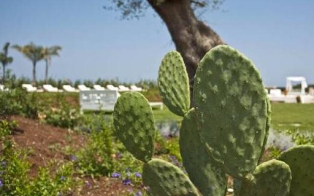 Masseria Bucadue - Maison d'Hôtes