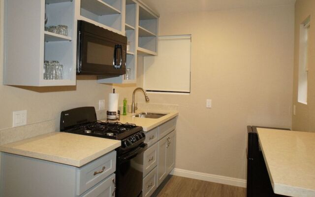 Big Bear 4 Seasons Five