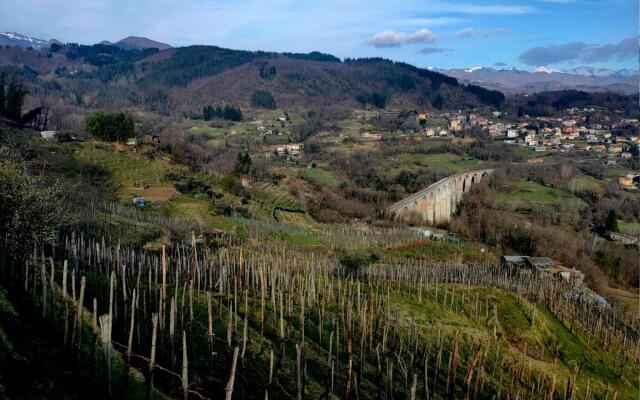 Cheerful holiday home in Poggio with private garden