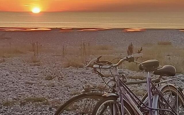 Notre Dame de la Mer