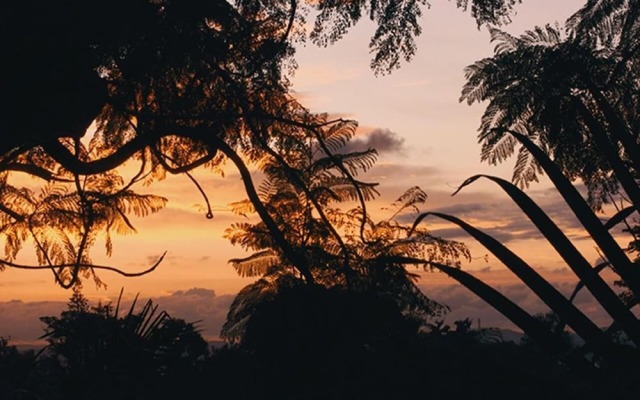 Kampala Forest Resort (KFR Lodge)
