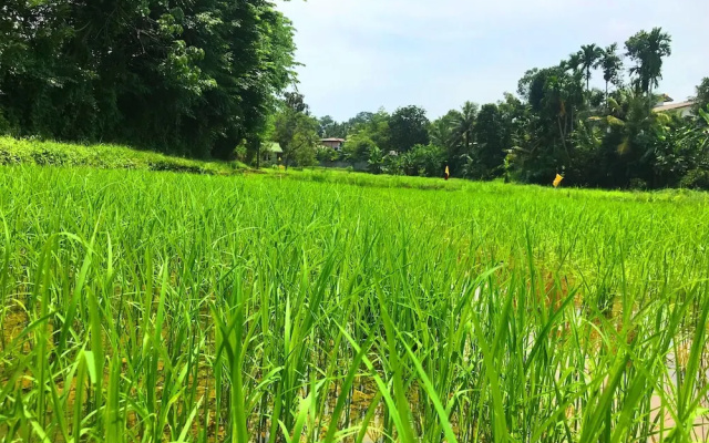 Horahena Farm Stay