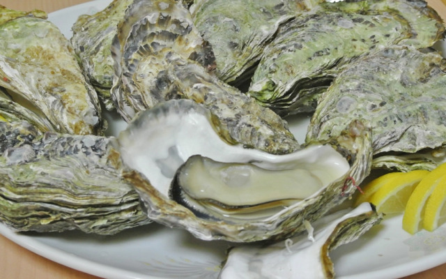 Seaside Katsuragahamaso