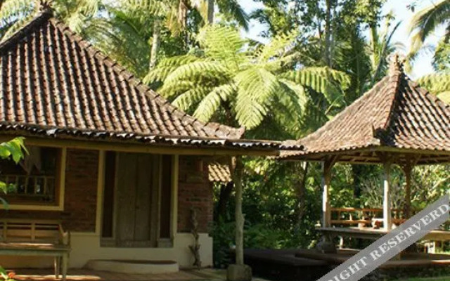 Prana Dewi Mountain Resort