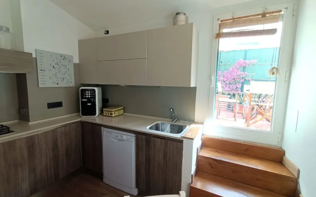 Delle Erbe The Nightlife