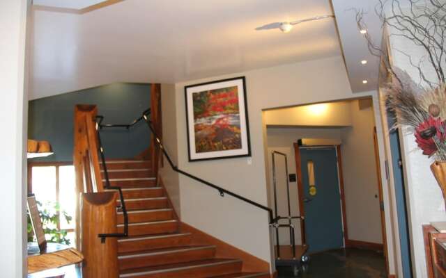 Safe Harbour Suite