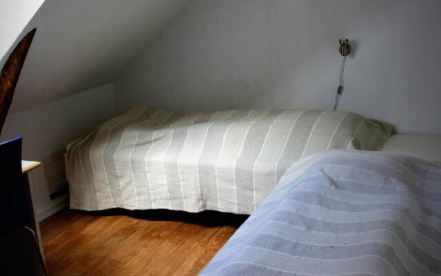 Stutteri Skandi Hest