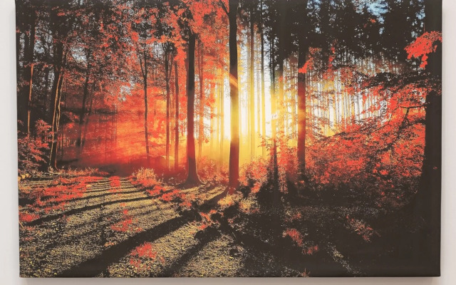 Clapham Sanctuary Apartment