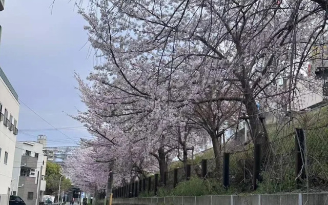 Tabi Time Kishinosato Miyama