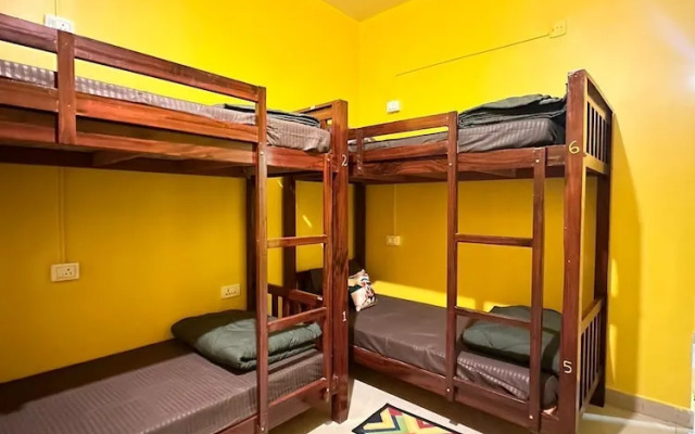 Rastafari - The Backpackers Hostel