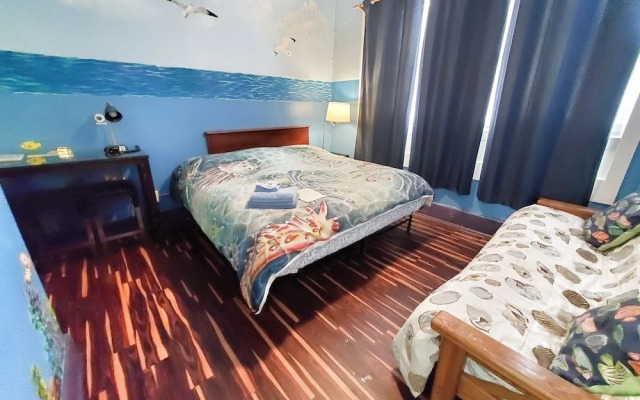 Pirate Haus Inn - Hostel