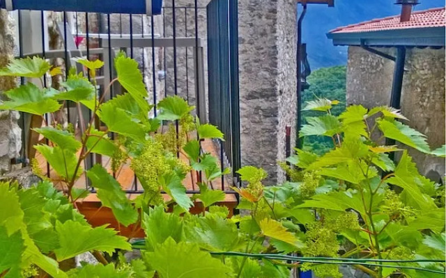 Casa del Borgo il Picchio