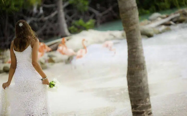 Renaissance Ocean Suites