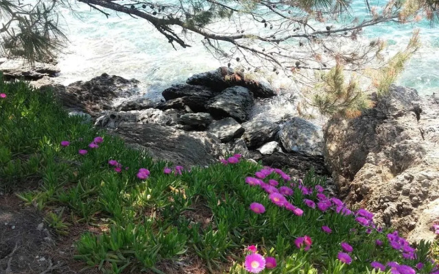 Apartment With 2 Bedrooms in Neos Marmaras, With Wonderful sea View, Enclosed Garden and Wifi Near the Beach