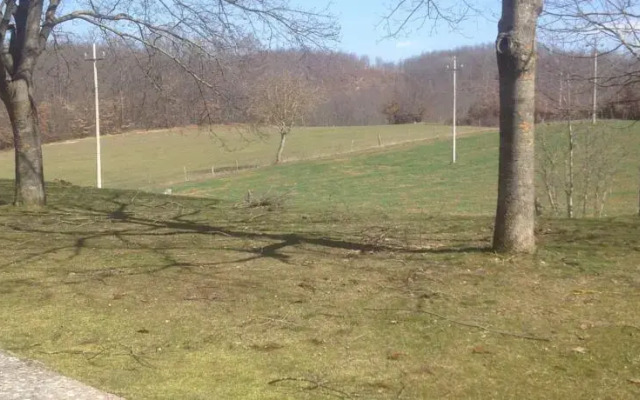 Passeggiate nel Verde Estremo