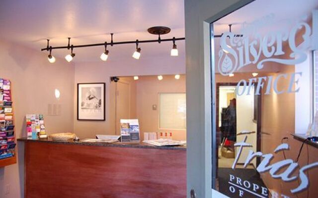 Aspen Silverglo by Frias