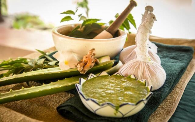Ayurveda Kuren Maho