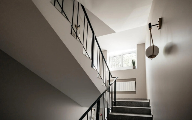 Лакколит 993