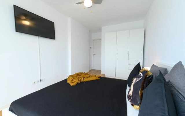 North Artistique - Aviatiei